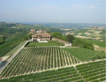 Enolocanda Del Tufo Dogliani