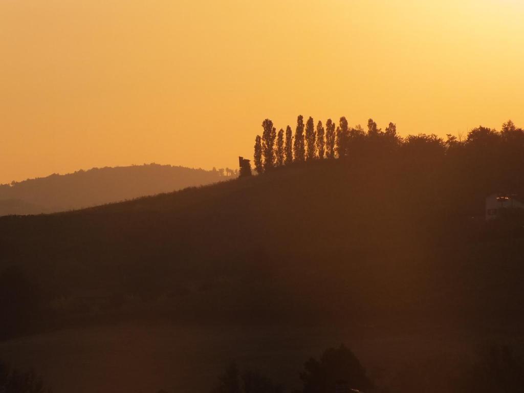 Séjour à la ferme Enolocanda Del Tufo