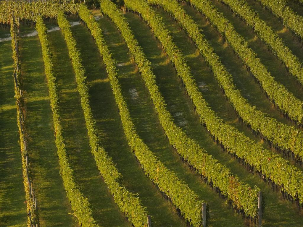Enolocanda Del Tufo Séjour à la ferme